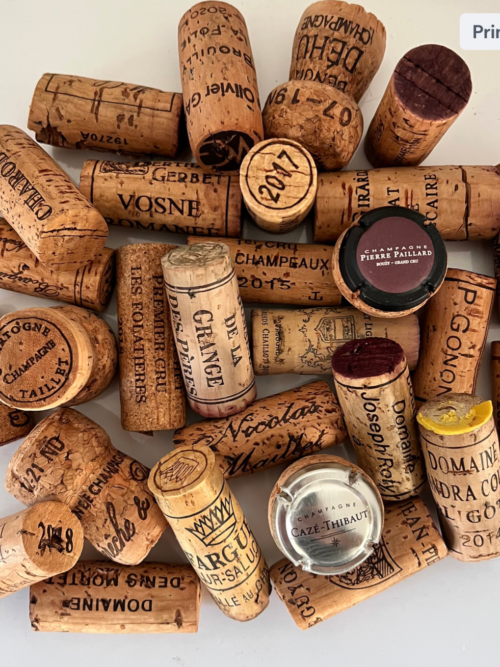 Magnum Pierre Girardin Vosne-Romanée Les Hauts Beaumonts 2021