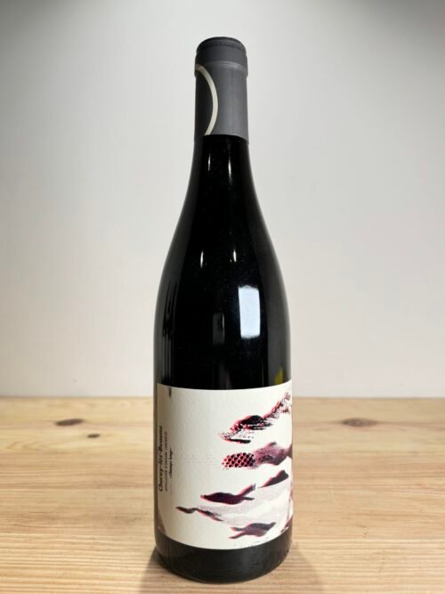 Maison Chantereves Chorey-les-Beaune Les Champs Longs 2020