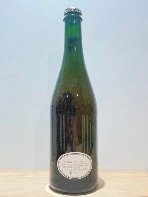 Pierre Beauger PG/SB 19 2019