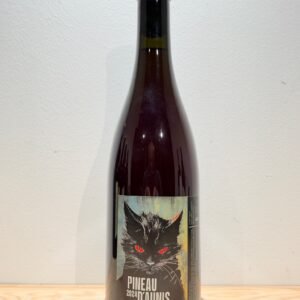 Domaine Thea Lambours Et Guillaume Beaussier Vin de France Pineau D'Aunis 2024